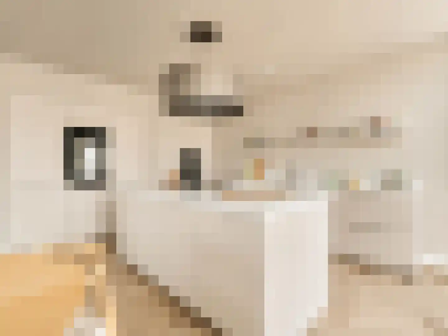 Oostenburgermiddenstraat 531 Amsterdam thumbnail 9