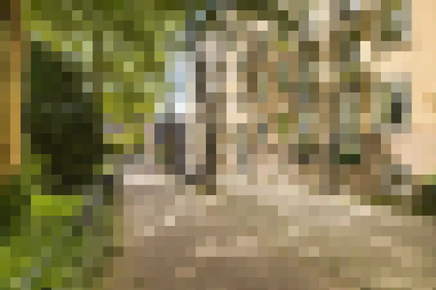 Oostenburgerpark 120 Amsterdam thumbnail 17