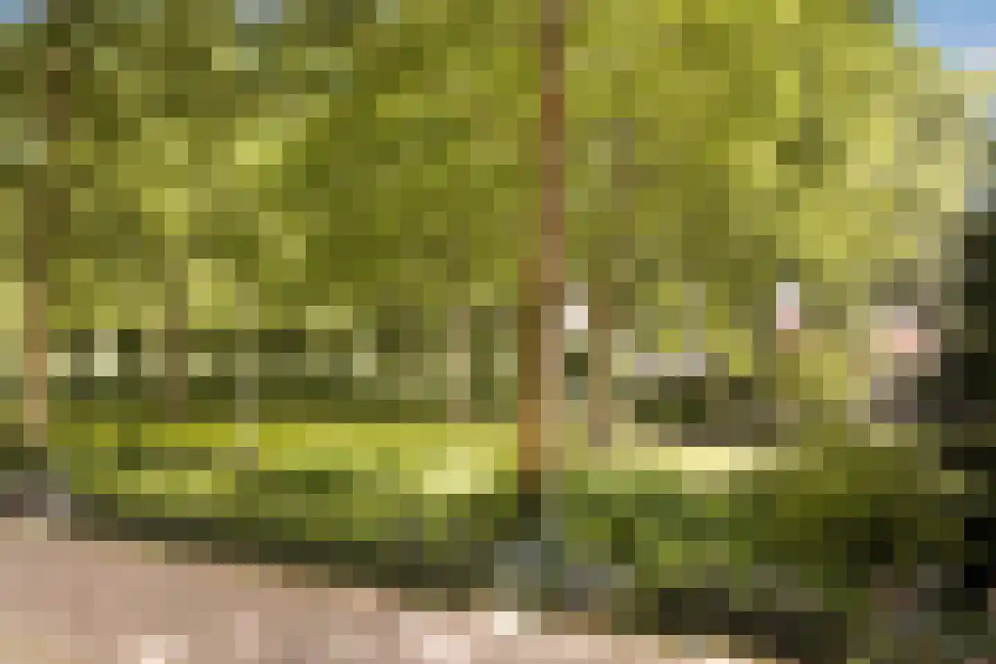 Oostenburgerpark 120 Amsterdam thumbnail 18