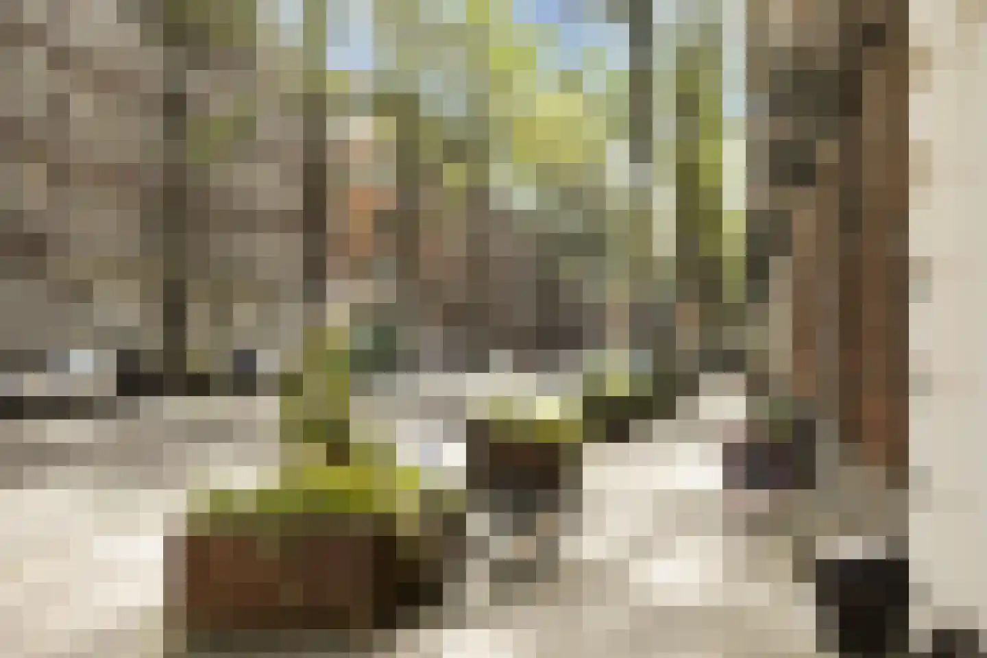 Oostenburgerpark 120 Amsterdam thumbnail 20