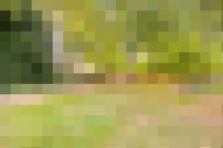 Oostenburgerpark 148 Amsterdam thumbnail 21