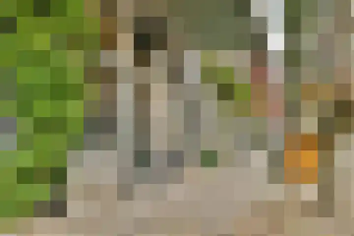 Oostenburgerpark 148 Amsterdam thumbnail 22