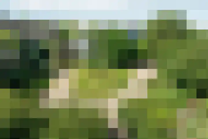 Oostenburgerpark 174 Amsterdam thumbnail 19