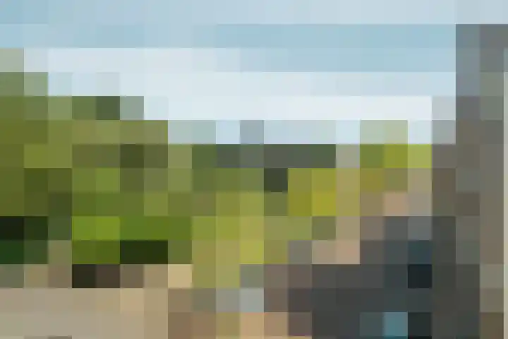 Oostenburgerpark 174 Amsterdam thumbnail 21