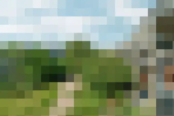 Oostenburgerpark 174 Amsterdam thumbnail 22