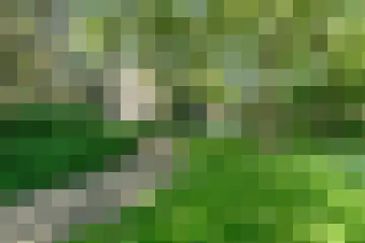 Oostenburgerpark 174 Amsterdam thumbnail 23