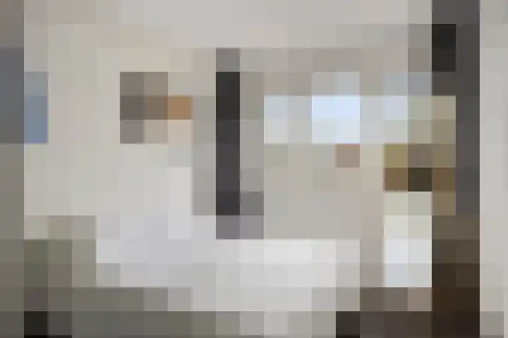 Oostenburgerpark 20 Amsterdam thumbnail 13