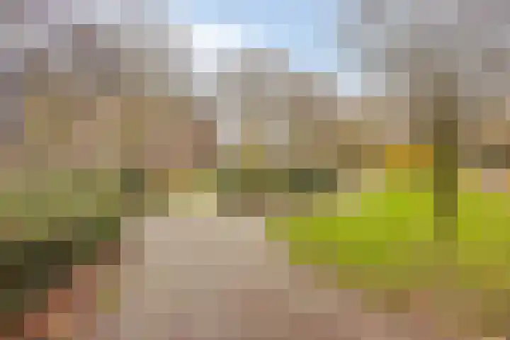 Oostenburgerpark 20 Amsterdam thumbnail 19