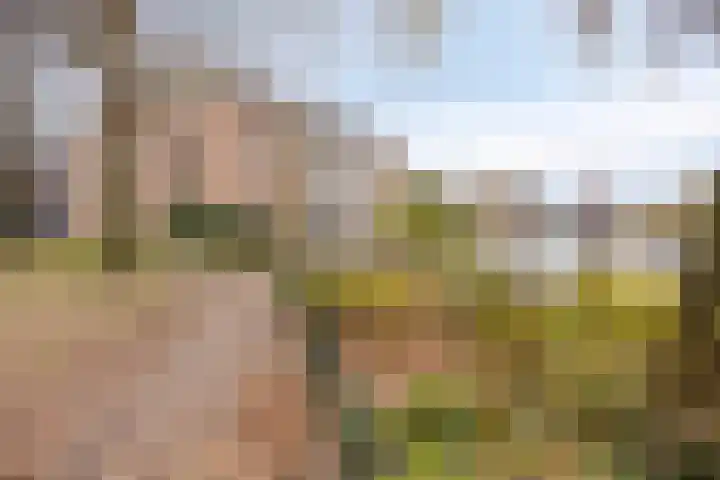 Oostenburgerpark 20 Amsterdam thumbnail 20