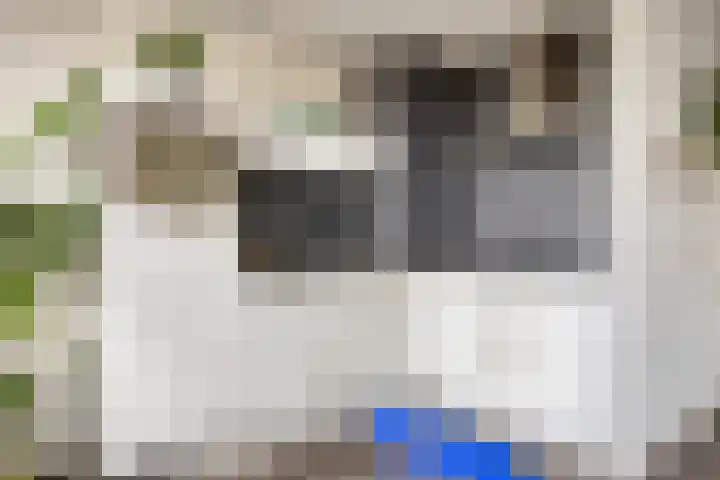Oostenburgerpark 20 Amsterdam thumbnail 6