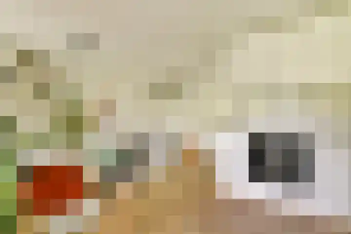 Oostenburgerpark 72 Amsterdam thumbnail 12