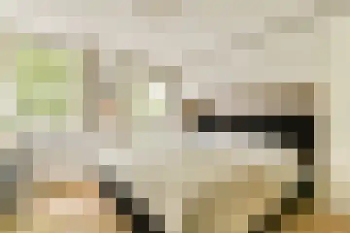 Oostenburgerpark 72 Amsterdam thumbnail 14
