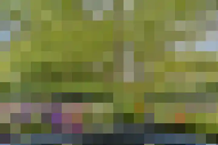 Oostenburgerpark 72 Amsterdam thumbnail 15