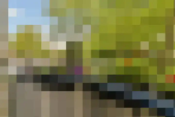 Oostenburgerpark 72 Amsterdam thumbnail 17