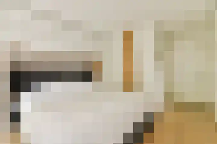 Oostenburgerpark 72 Amsterdam thumbnail 18