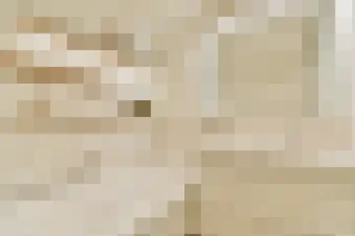Oostenburgerpark 72 Amsterdam thumbnail 21