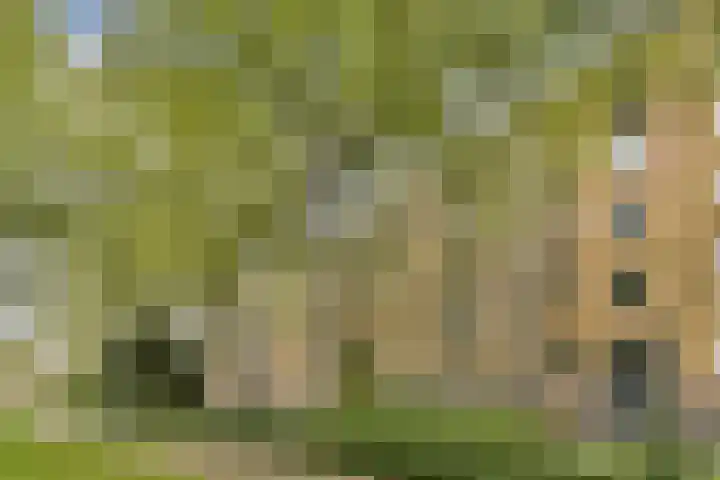 Oostenburgerpark 72 Amsterdam thumbnail 24