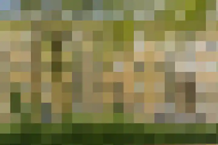 Oostenburgerpark 72 Amsterdam thumbnail 25