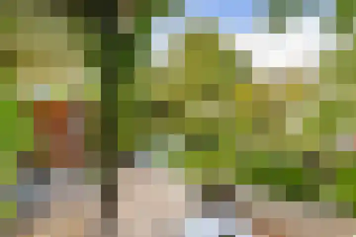 Oostenburgerpark 72 Amsterdam thumbnail 4