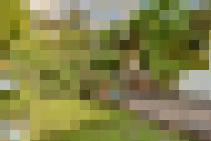 Oostenburgerpark 72 Amsterdam thumbnail 5