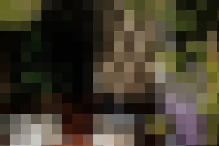 Oostenburgerpark 72 Amsterdam thumbnail 6