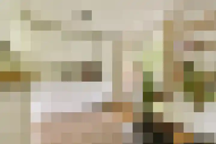 Oostenburgerpark 72 Amsterdam thumbnail 8