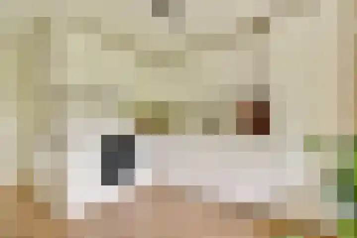 Oostenburgerpark 72 Amsterdam thumbnail 9