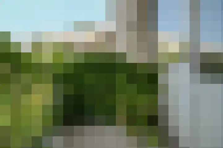 Oostenburgerpark 76 Amsterdam thumbnail 10