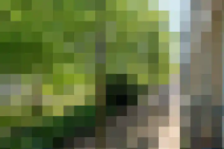 Oostenburgerpark 76 Amsterdam thumbnail 22