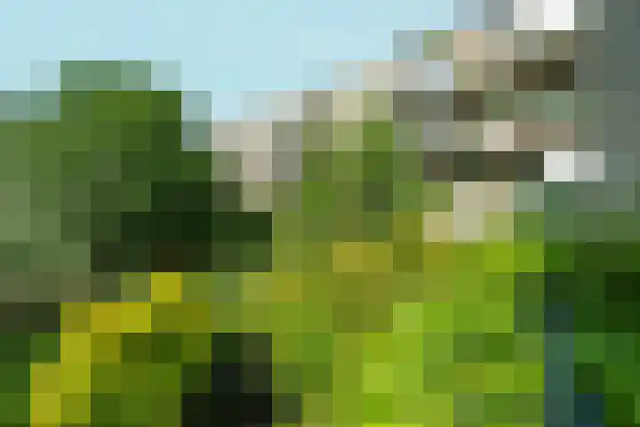 Oostenburgerpark 76 Amsterdam thumbnail 23