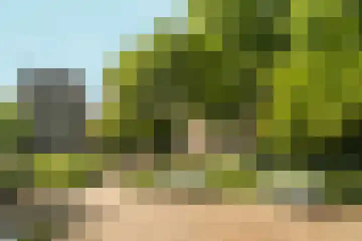 Oostenburgerpark 76 Amsterdam thumbnail 25