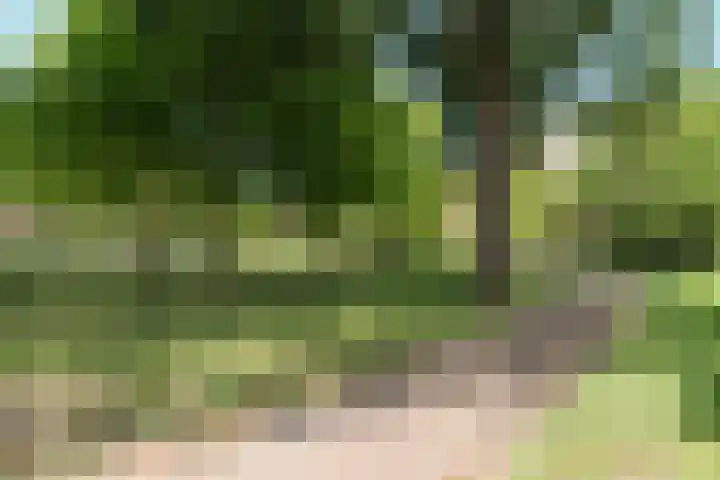 Oostenburgerpark 76 Amsterdam thumbnail 26