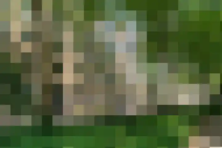 Oostenburgerpark 76 Amsterdam thumbnail 27