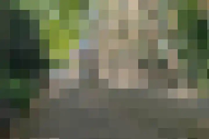 Oostenburgerpark 76 Amsterdam thumbnail 28