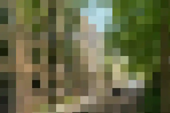 Oostenburgerpark 76 Amsterdam thumbnail 37