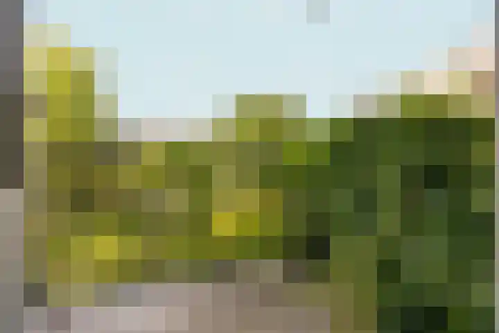 Oostenburgerpark 76 Amsterdam thumbnail 9