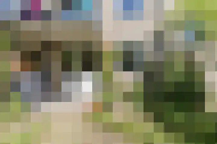 Oostenburgerpark 92 Amsterdam thumbnail 19