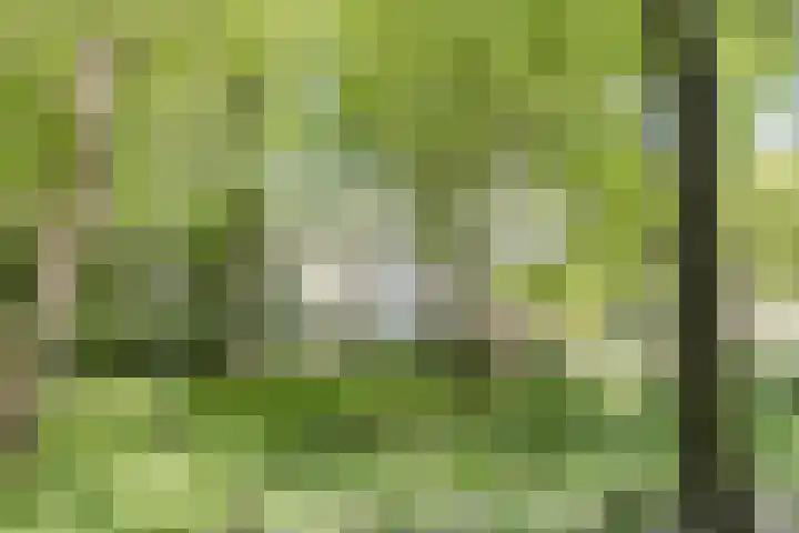 Oostenburgerpark 92 Amsterdam thumbnail 23