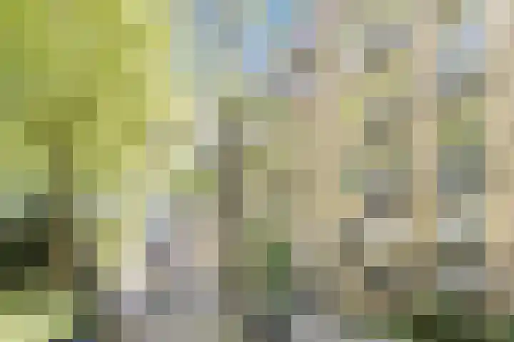 Oostenburgerpark 92 Amsterdam thumbnail 6