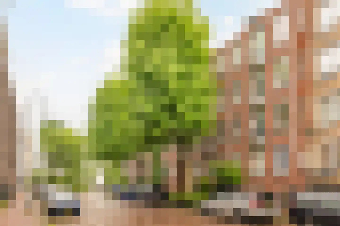 Oostenburgervoorstraat 10 Amsterdam thumbnail 22
