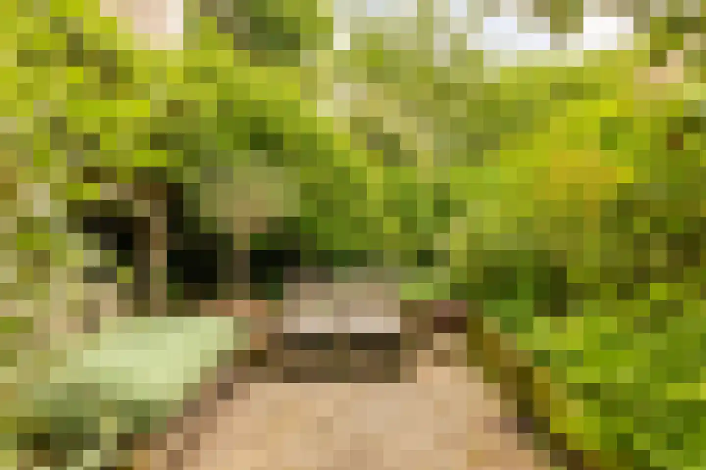 Oostenburgervoorstraat 10 Amsterdam thumbnail 9