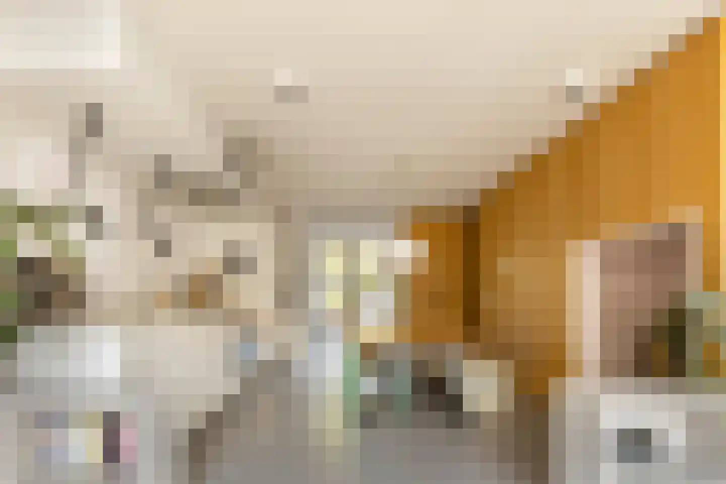 Oostenburgervoorstraat 15 Amsterdam thumbnail 21