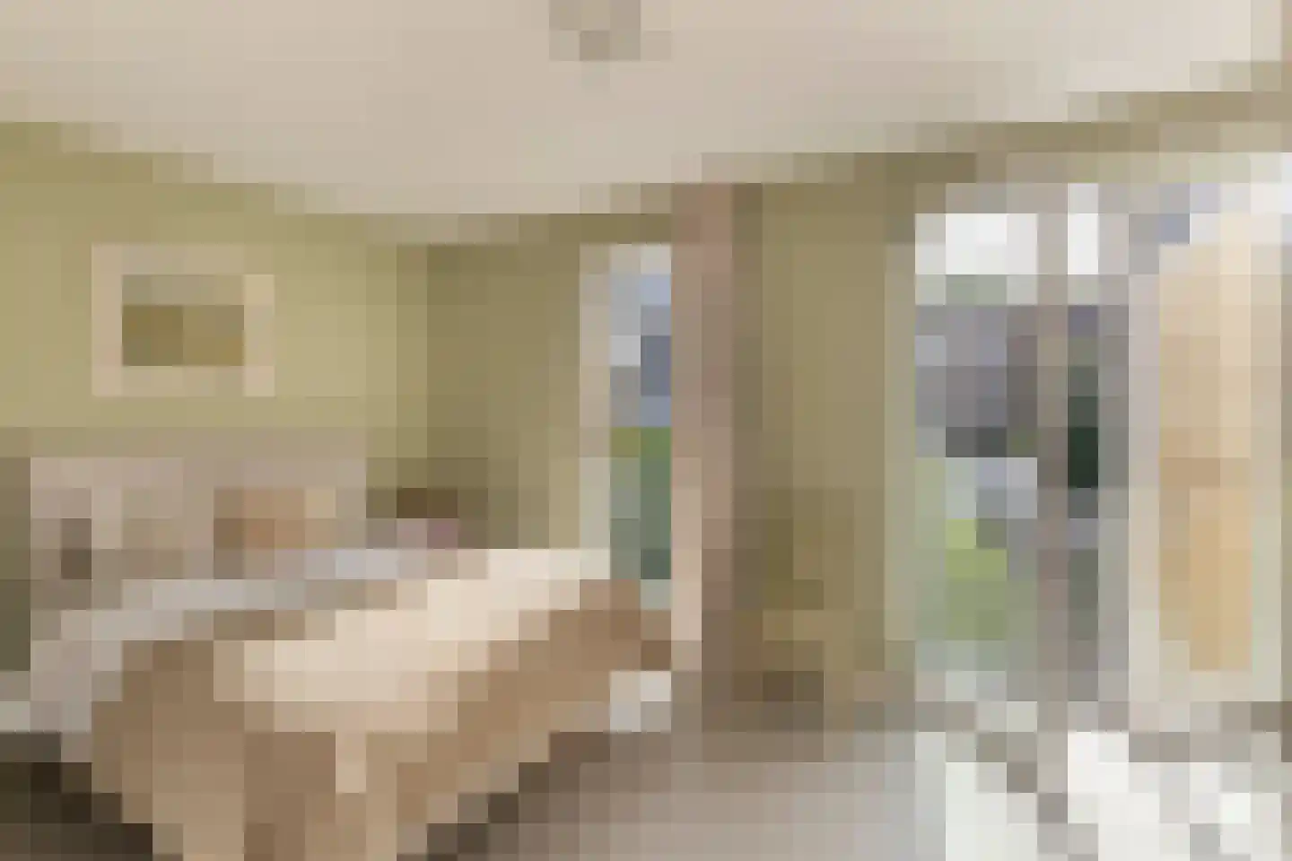 Oostenburgervoorstraat 15 Amsterdam thumbnail 44