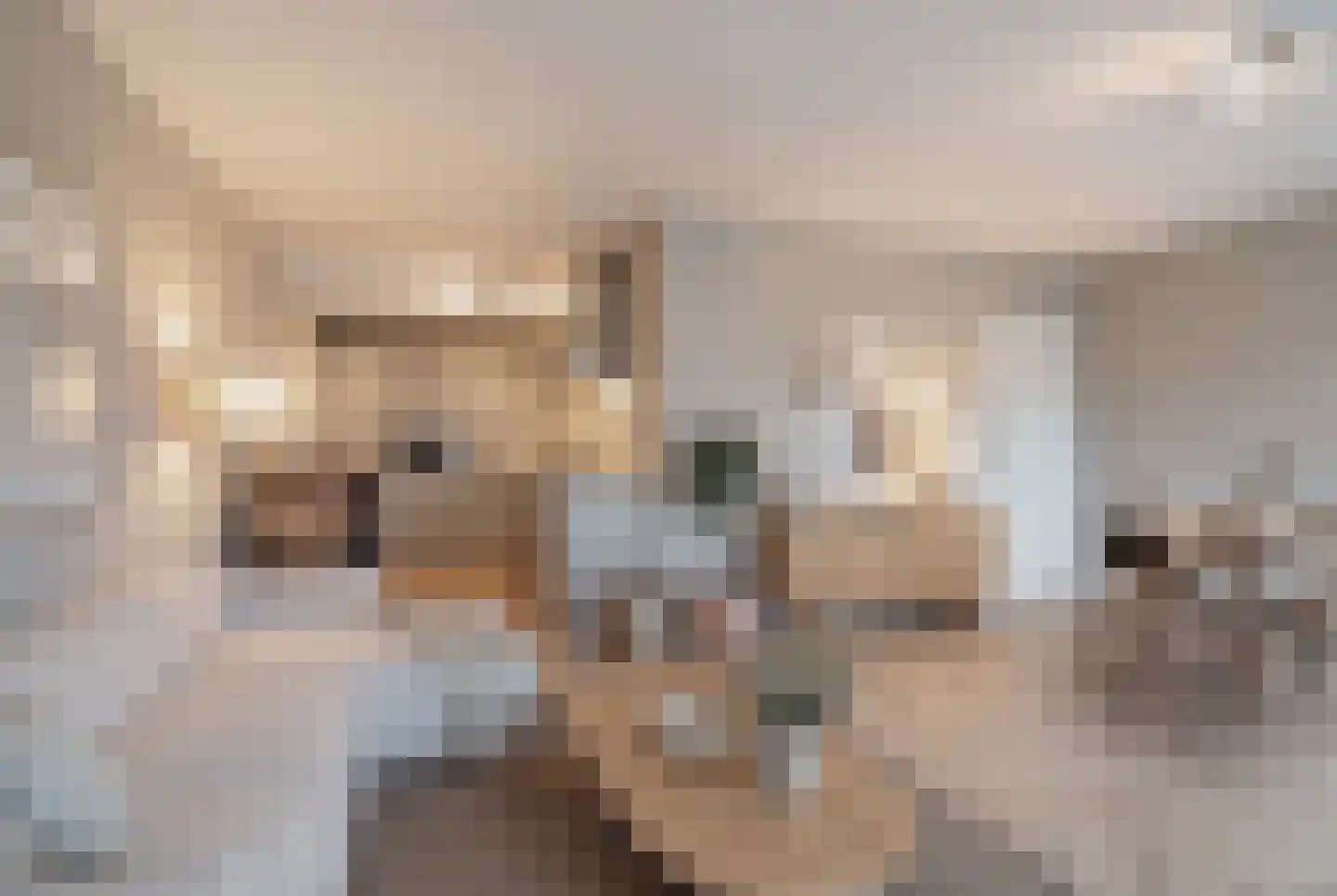 Oostenburgervoorstraat 270 Amsterdam thumbnail 5