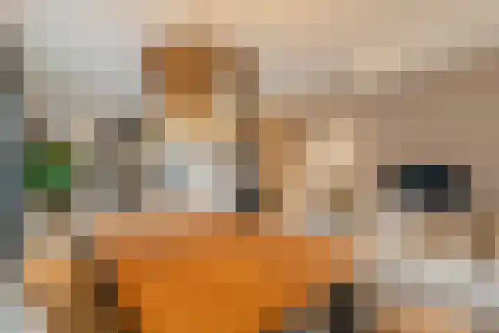 Oostenburgervoorstraat 288 Amsterdam thumbnail 9