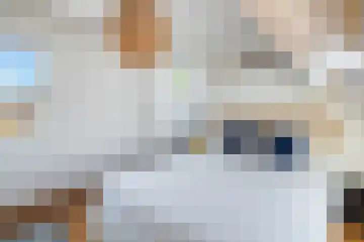 Oostenburgervoorstraat 290 Amsterdam thumbnail 21