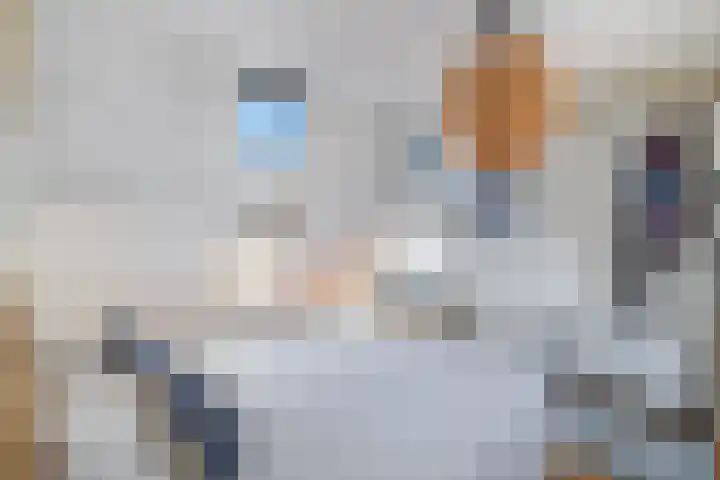 Oostenburgervoorstraat 290 Amsterdam thumbnail 22