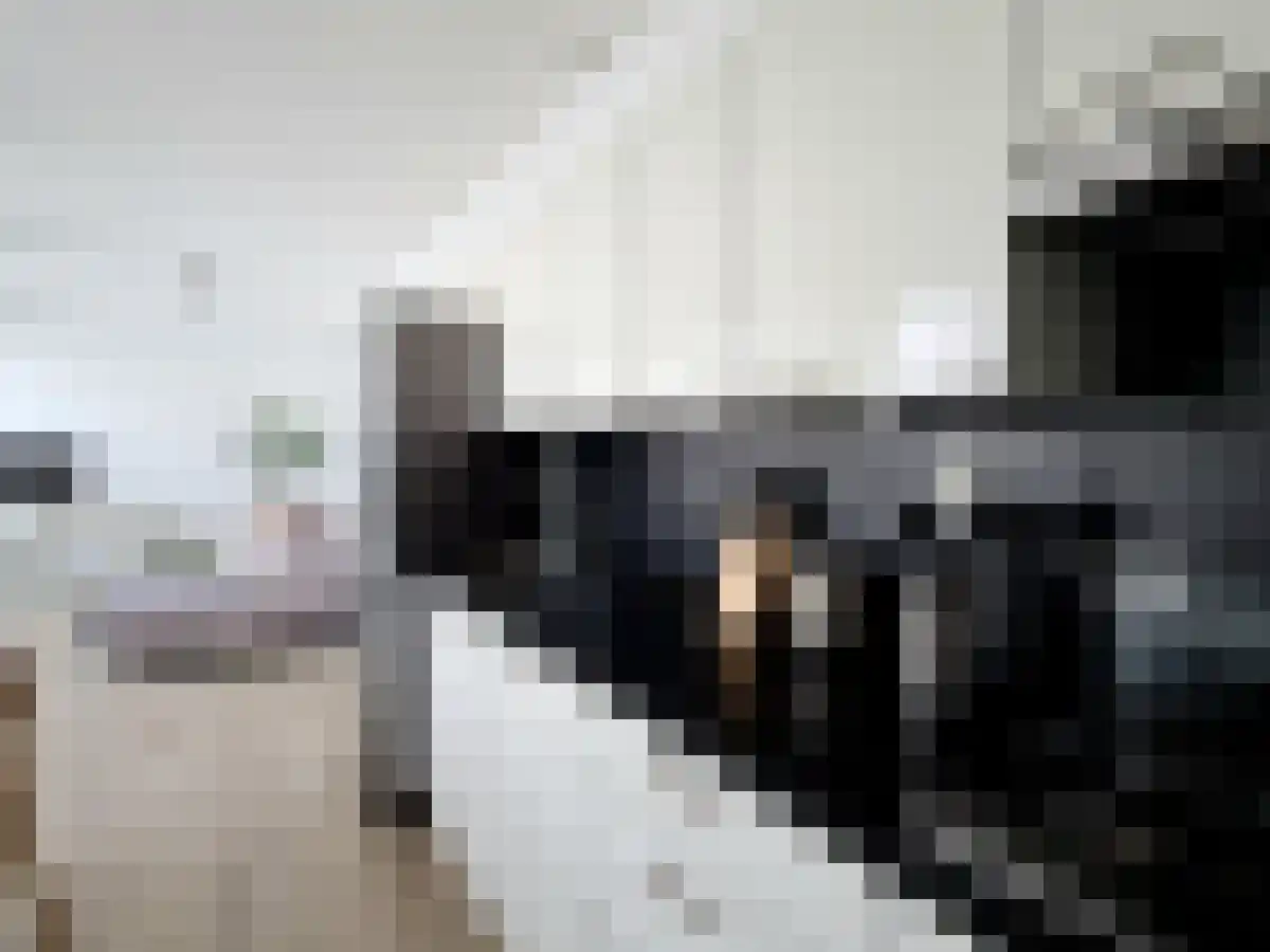 Oostenburgervoorstraat 55 Amsterdam thumbnail 5