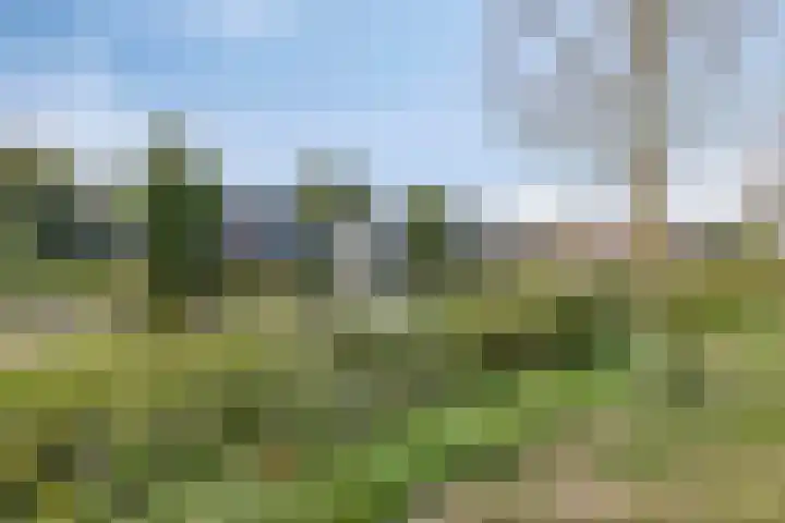 Oostendeelplein 39 Zuidland thumbnail 32