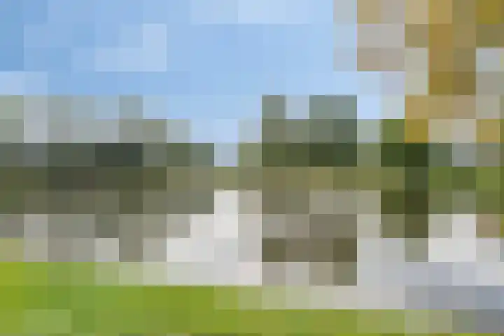 Oostendeelplein 39 Zuidland thumbnail 33